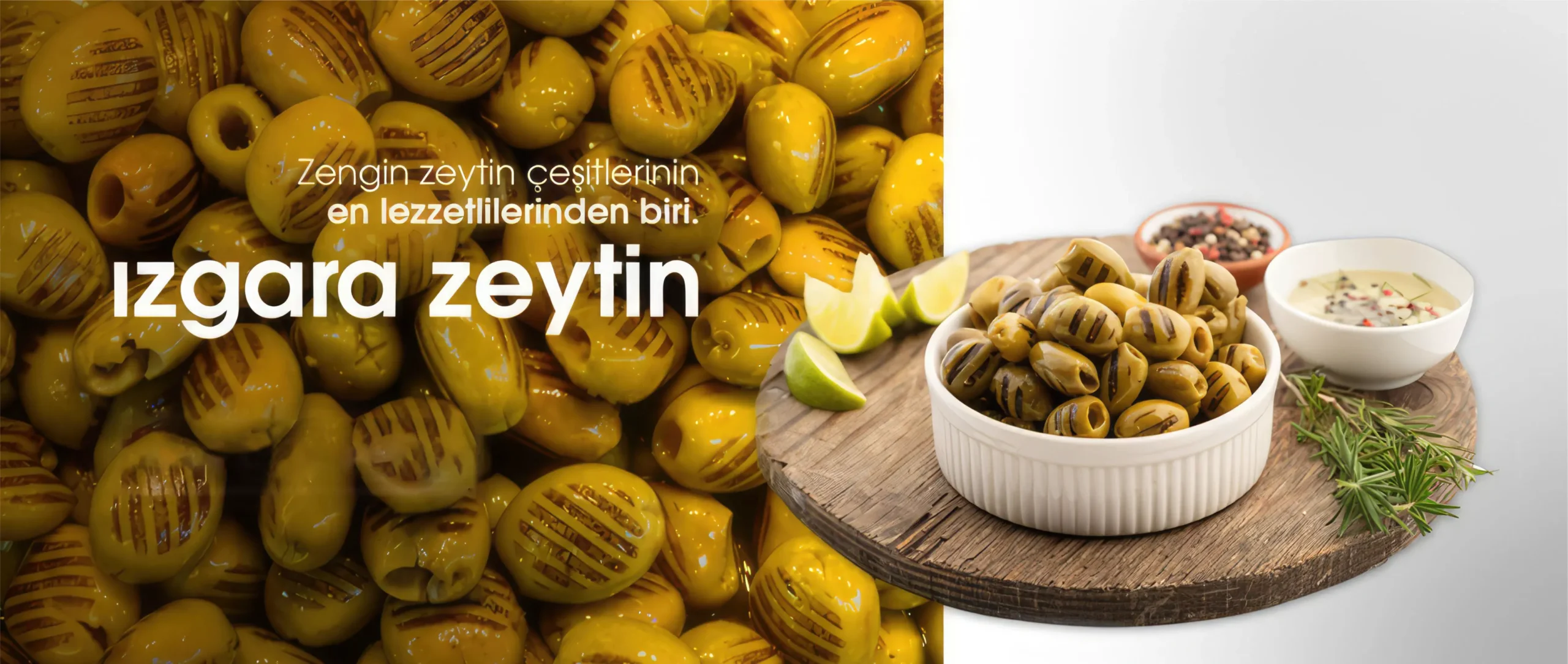 Anasayfa